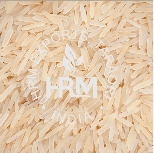 1509 Golden Rice